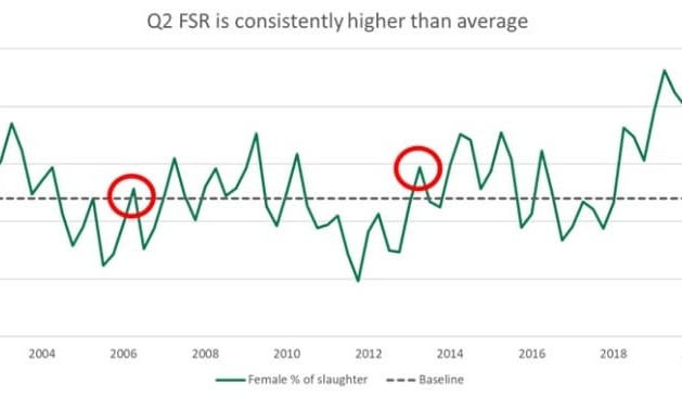 Has Australia’s beef herd started to decline in size? Here’s MLA’s view
