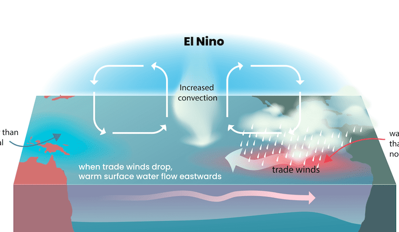 Longer El Niño and La Niña events could become more common: ANU