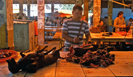 SE Asia Report:  LSD issue complicates trading relationships in Asia