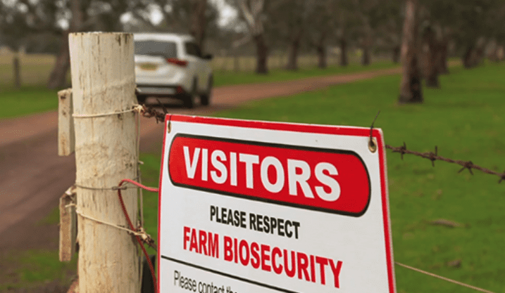 NSW Govt pledges $140m for biosecurity and innovation