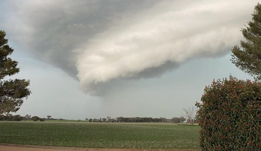 Feedgrain Focus: North consolidates at drought levels