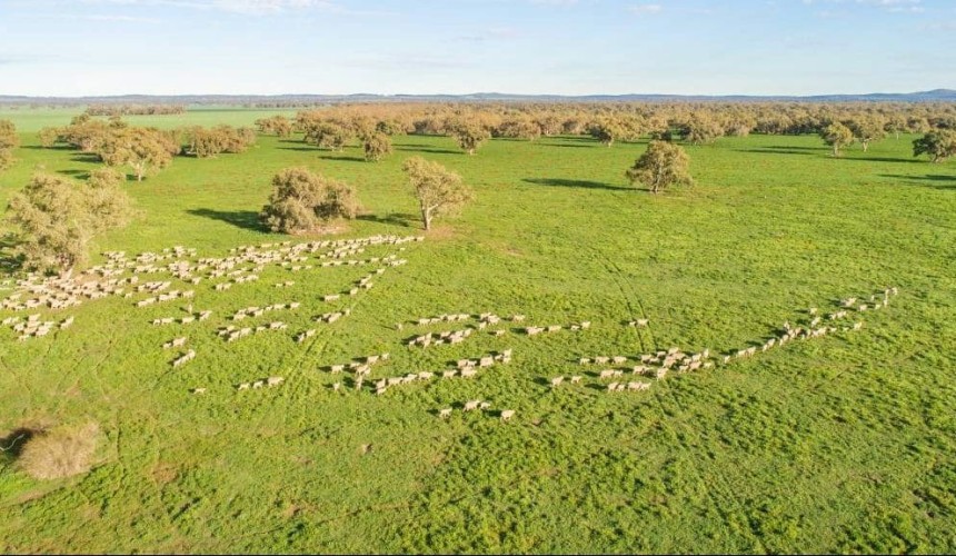 Lachlan Valley aggregation offers scale, water entitlements