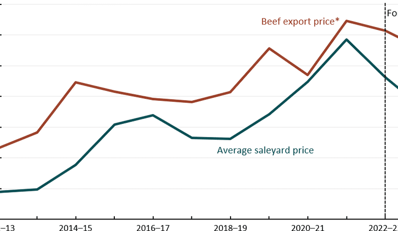 ABARES forecasts saleyard prices to fall 15pc in 2023–24
