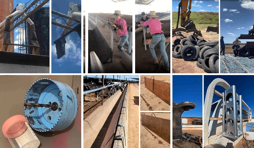 Feedlot innovation competition: Simple ideas, big  paybacks