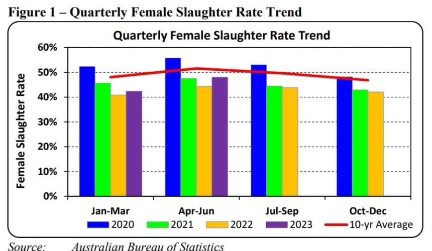 USDA forecasts Australia’s 2024 beef production will be sixth highest on record