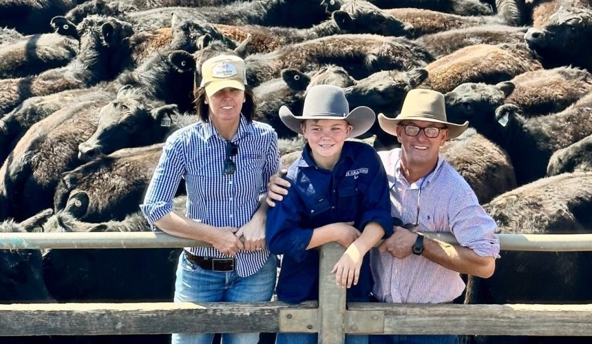 Genetic investment pays off as Southern Qld heifers top at $1900