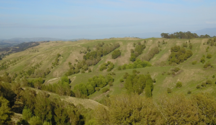 Report shows impact of new and proposed environmental regulations on NZ farmers