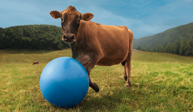Norco launches AR game to give kids a taste of farm life