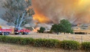 New bushfire preparation and recovery manual takes lessons from Black Summer 2019-20