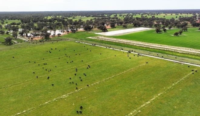Riverina’s Werai Station joins latest southern property offerings