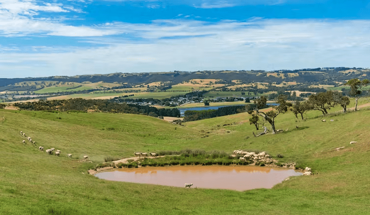 Why not use farm dams as mini-hydro plants?