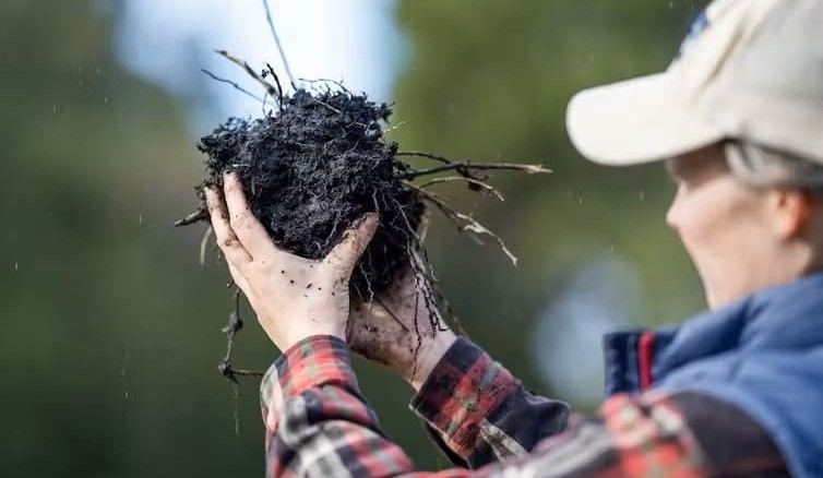 Scientists suggest changes to Australia’s soil carbon methodology