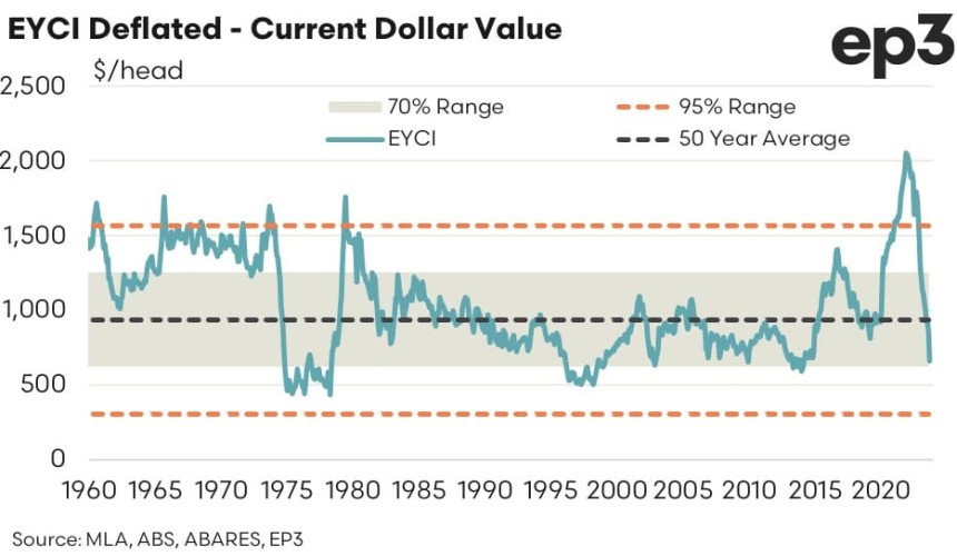 How does the current cattle market decline compare with earlier cycles?