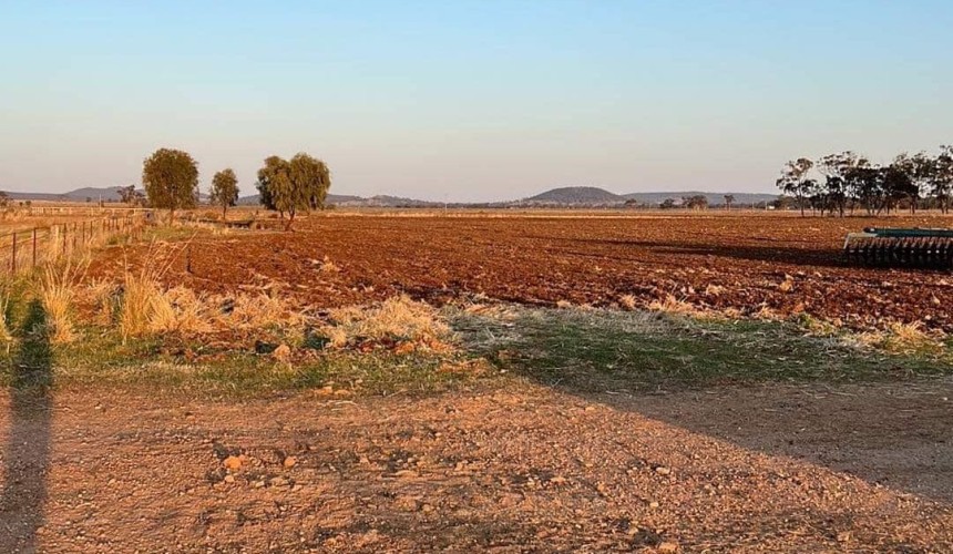 Feedgrain Focus: Spreading dry lifts southern values