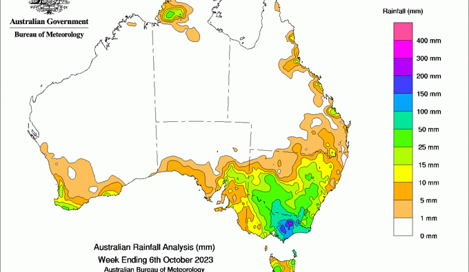 Southern rain brings some optimism, but more needed to turn cattle market