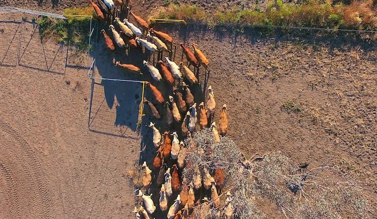 How effective is the Future Drought Fund four years on?