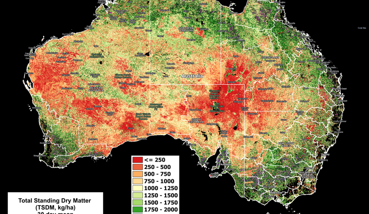 National Feedbase Summary 11 October 2023
