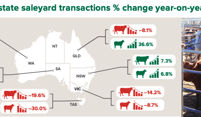 Australia’s 10 biggest cattle saleyards by throughput in 2022-23