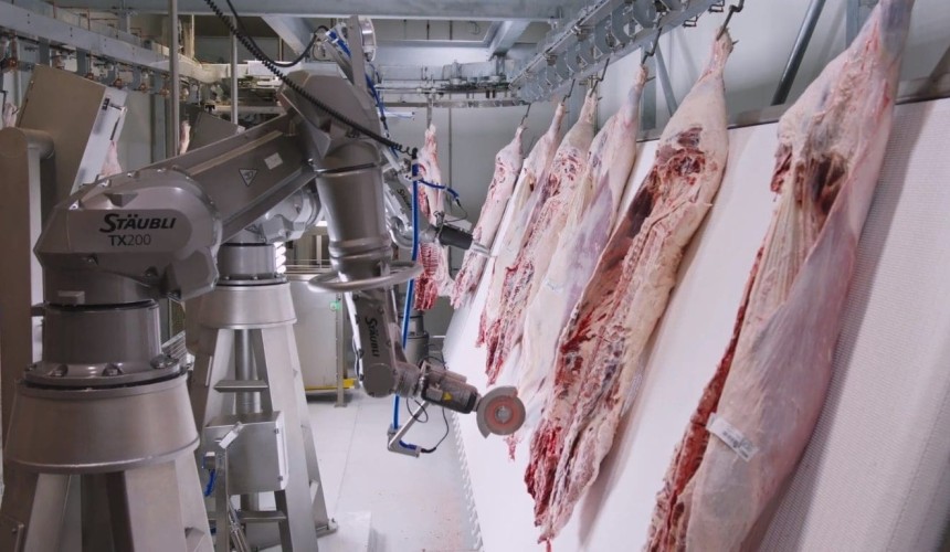 Kilcoy breaks ground with AI-driven robotic beef carcase scribing technology + VIDEO