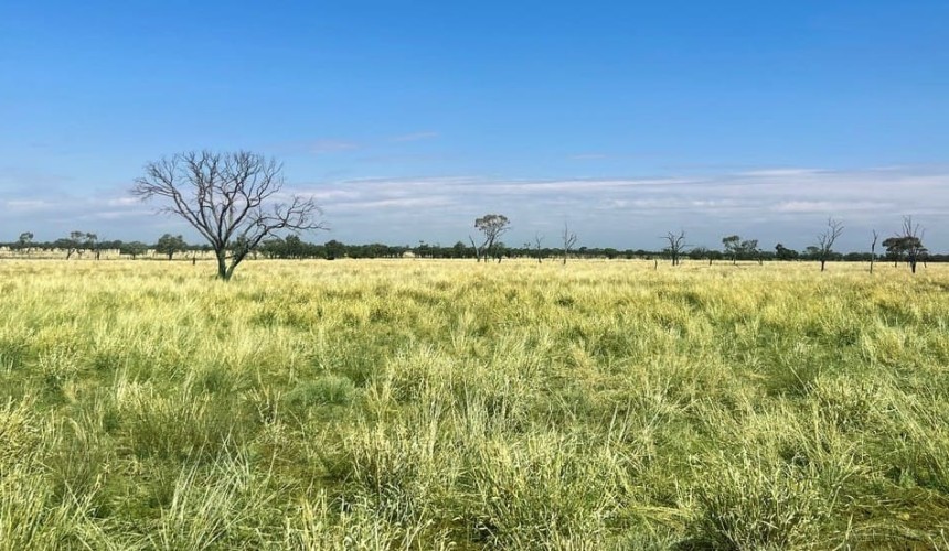 CPC adds to Isisford aggregation with Linamar purchase