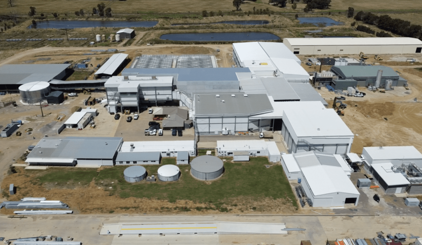 New southern beef processing capacity will add competition, but further test labour resources