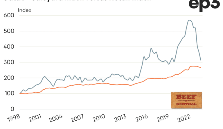 Beef producer share of the retail dollar continues to sink, reaching 13-year low