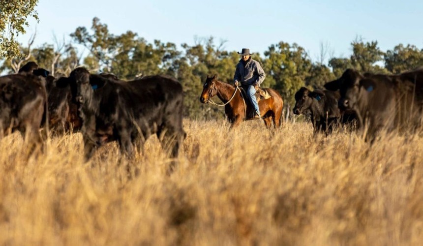 Hewitt and MLA heading up Australia’s largest red meat sustainability study