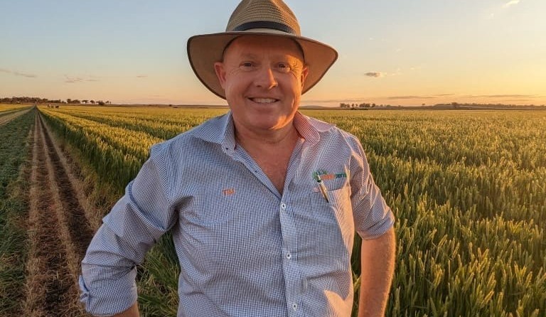 Hay demand strong with drought feeding and export pressure