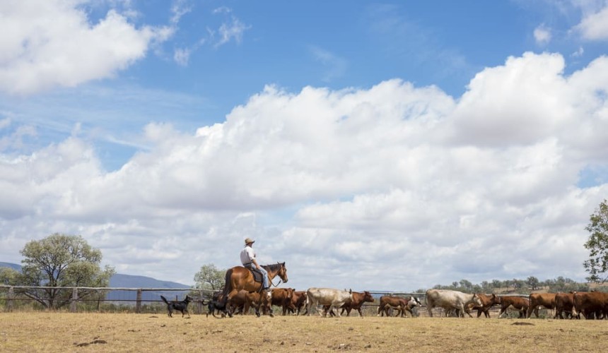 New funding agreement for Rural Financial Counselling Service
