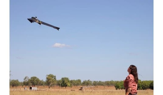 Prime time for drones on feral pig watch in NT