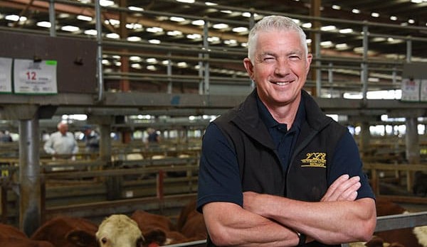 Large Victorian cattle saleyard to close mid-2024