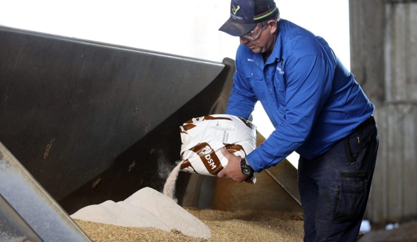 Coles expands carbon neutral program with more feedlots adopting methane reducing feed additive