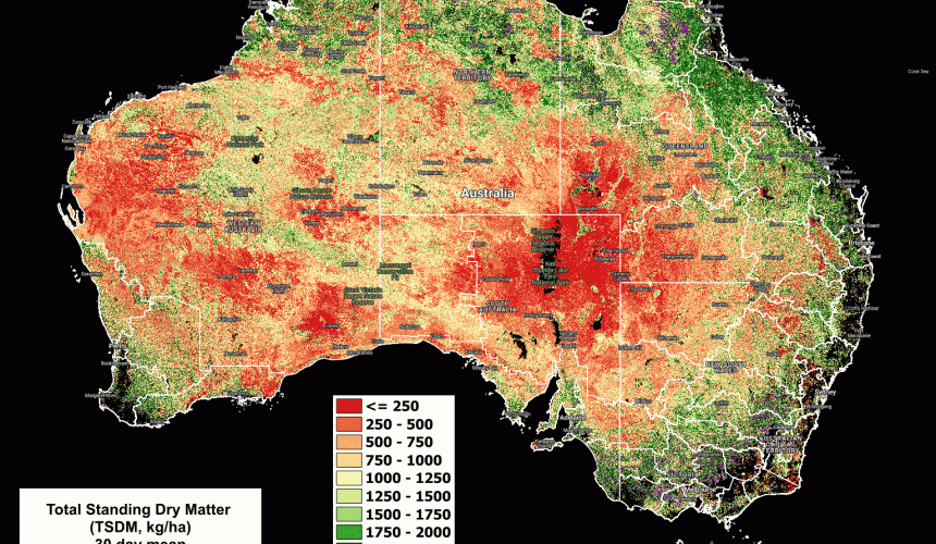 National Feedbase Summary 22 November 2023