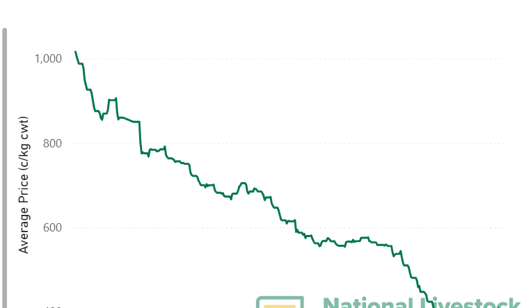 Cattle prices show signs of a rally as EYCI lifts 50c/kg