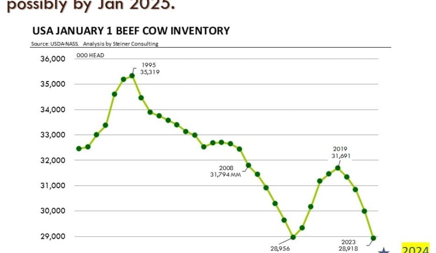 US to play key role in Australia’s red meat fortunes in 2024