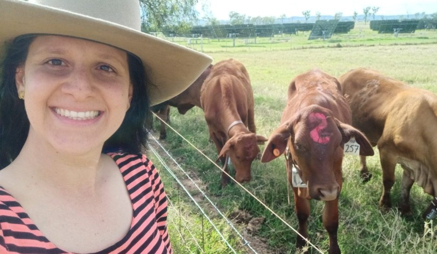 Sensors could provide key to more effective cattle supplementation