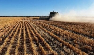 Feedgrain Focus: High-speed harvest fills northern homes