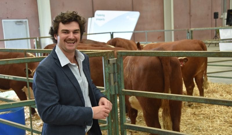 Ripley Atkinson: Cattle prices likely to peak in July