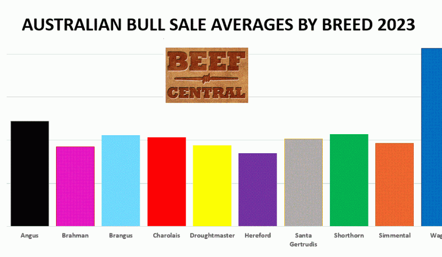 2023 bull sales: Your complete guide to major beef breeds’ results and trends
