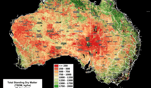 National Feedbase Summary 20 December 2023