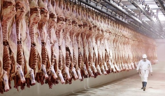 No evidence of market power in beef or lamb processing in Australia, report shows