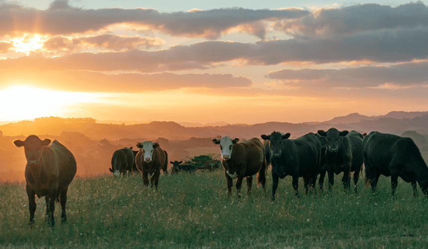New group forms to advocate for carbon farming