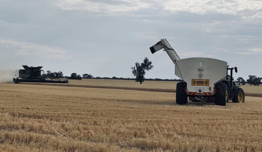 Feedgrain Focus: Prices ease as Vic yields surprise
