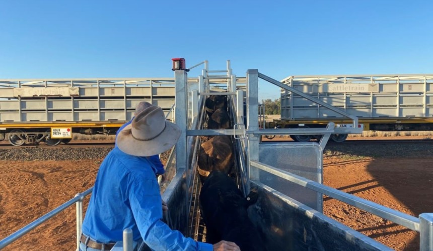Investment boost for cattle rail yards in NW Qld
