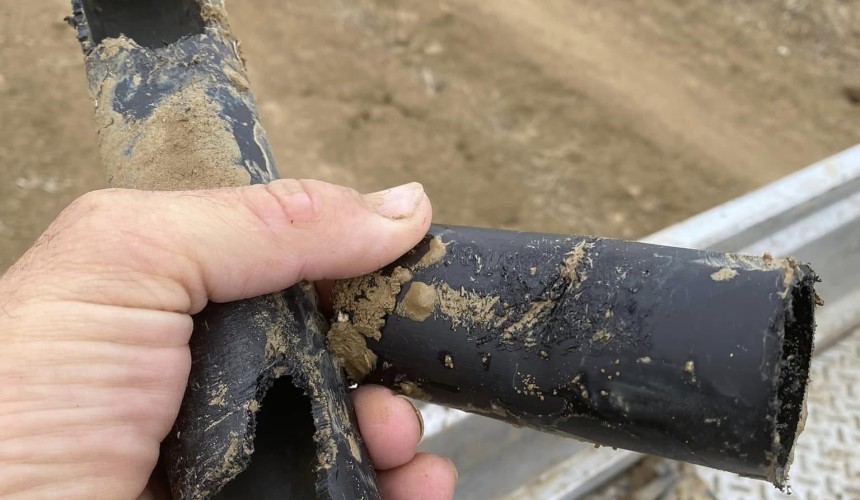Rats dine out on NQ poly pipe