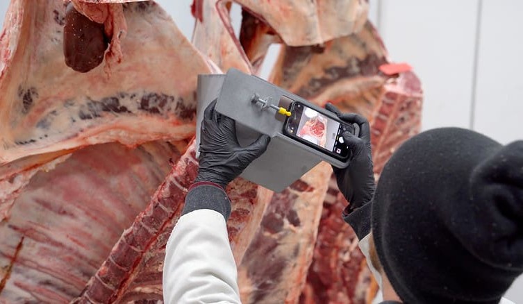US beef industry trials remote carcase grading to help small processors