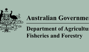 Exporter applies to re-export sheep and cattle shipment