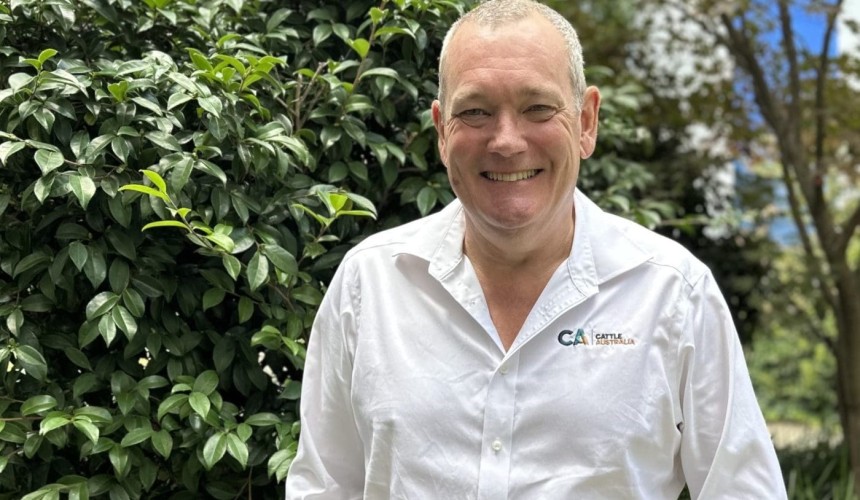 Cattle Australia urges ‘balanced approach’ to 2050 net zero ambition