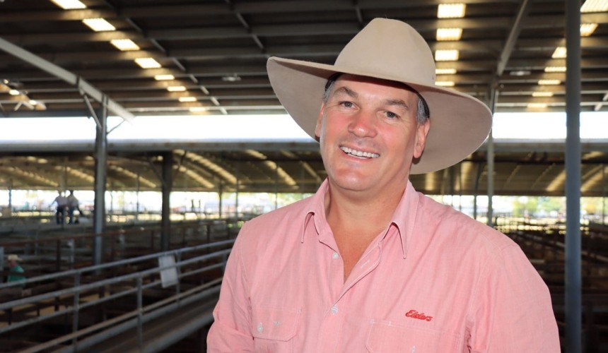 Stronger start to 2024 selling year at Dalby
