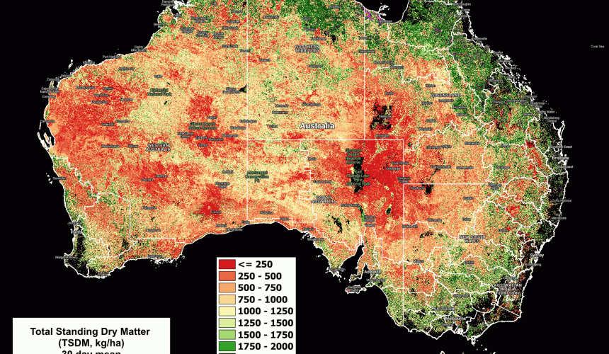 National Feedbase Summary 5 February 2024